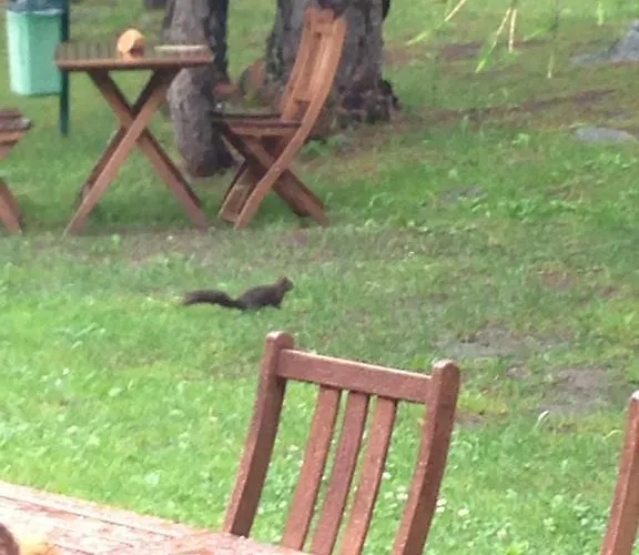 Miravalle Hotel Courmayeur