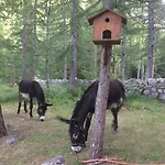 Miravalle Courmayeur