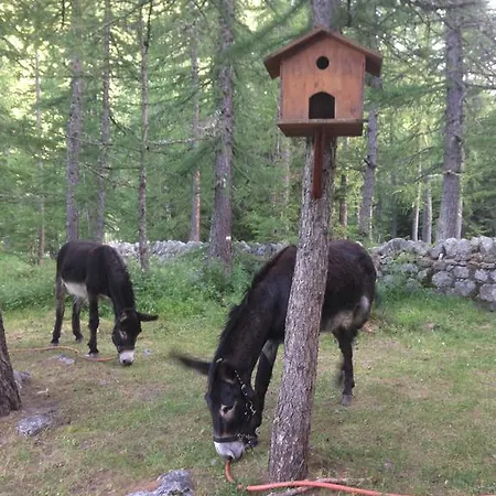 Miravalle Courmayeur