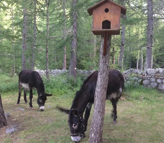 Miravalle Courmayeur